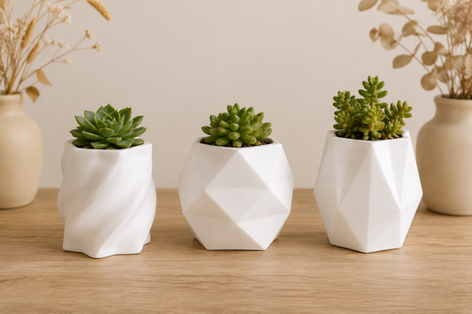Kit Decorativo Essenza | 20% OFF + Frete Grátis
